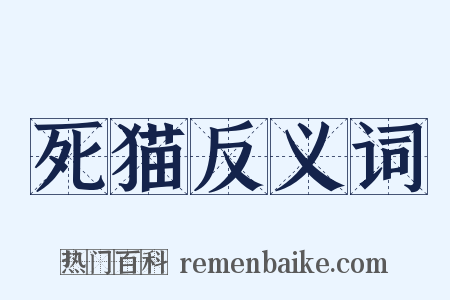 死猫反义词是什么意思的图片